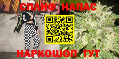 тгк Славгород