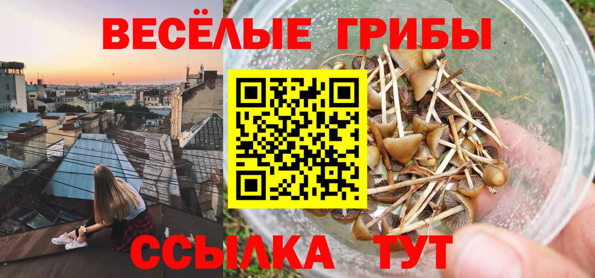 Галлюциногенные грибы Cubensis  Вход с VPN  Оренбург 