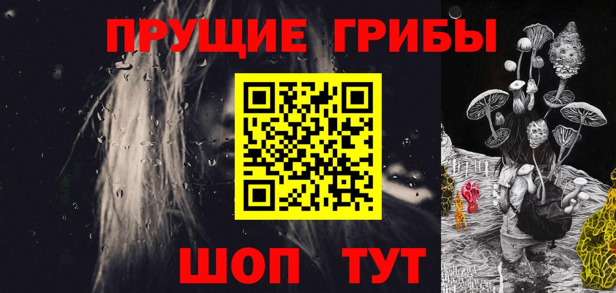Галлюциногенные грибы Psilocybine cubensis Оренбург